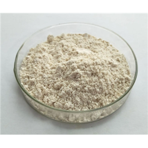 4407-36-7；3-苯基丙-2-烯-1-醇