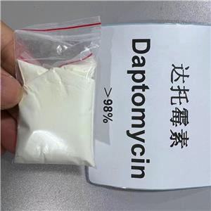 达托霉素98.5%HPLC103060-53-3   1G 500  10G 300/G 威德利