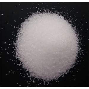 593-51-1；甲胺盐酸盐