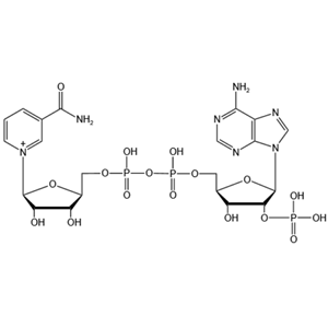 烟酰胺腺嘌呤双核苷酸磷酸盐 53-59-8 产品图片