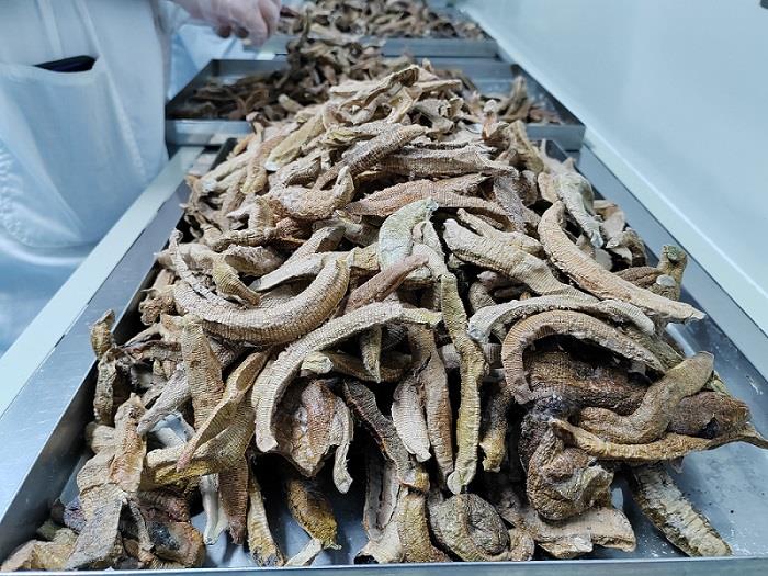 水蛭素2.jpg 水蛭素2.jpg