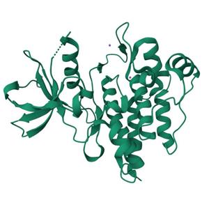 人 ABL1(T315I D363N) 蛋白, Tag free