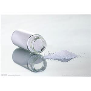 重组贻贝族蛋白