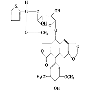替尼泊苷 4'-去甲基表鬼臼毒素-Β-D-葡萄糖甙 产品图片