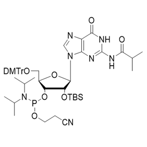 N2-异丁酰基-5'-O-DMT-2'-O-TBDMS-鸟苷-3'-氰乙氧基亚磷酰胺