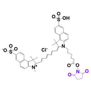 CY7-SE Cy7-N-羟基琥珀酰胺酯