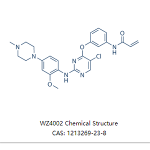 WZ4002 (EGFR抑制剂）
