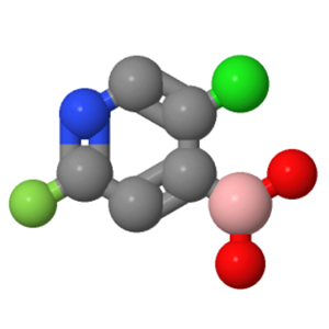 2-氟-5-氯吡啶-4-硼酸；1034659-38-5