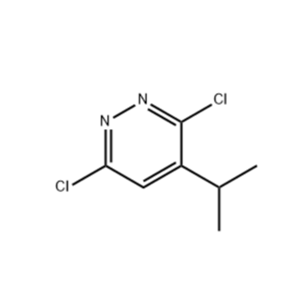 3,6-二氯-4-异丙基哒嗪 107228-51-3 产品图片