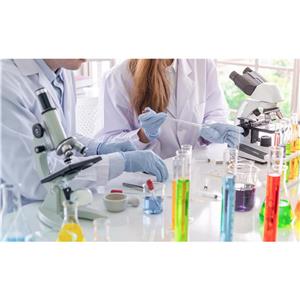 肝损伤细胞模型