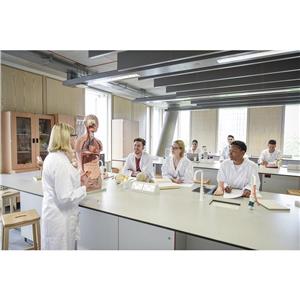 动物实验模型的建立