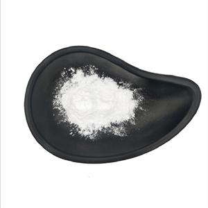 降糖 盐酸二甲双胍原粉15537-72-1