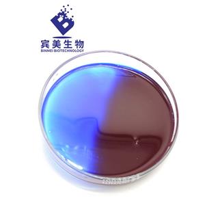 宾美生物 螺旋藻汁YE3