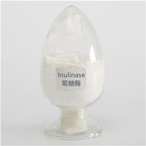 Food Grade Inulinase Powder 10,000 U/g