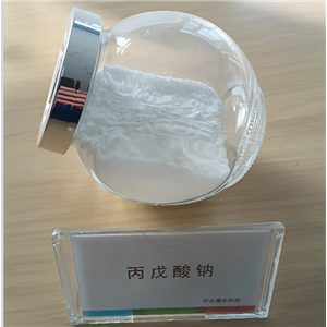 丙戊酸钠；2-丙基戊酸钠；Sodium Valproate；Sodium 2-propylpentanoate 产品图片
