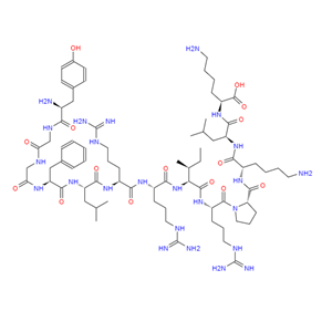 72957-38-1  强啡肽 A (1-13)