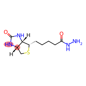 生物素酰肼  Biotin hydrazide  66640-86-6