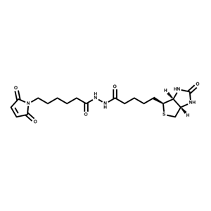 生物素-马来酰亚胺；116919-18-7