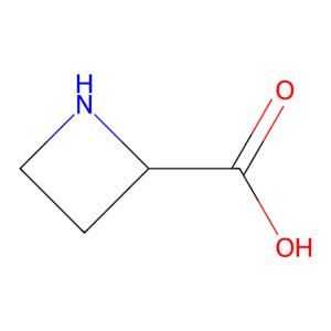aladdin 阿拉丁 A124088 L-氮杂环丁烷-2-羧酸 2133-34-8 99%