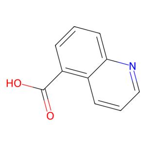 aladdin 阿拉丁 Q113504 喹啉-5-羧酸 7250-53-5 98%