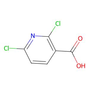 aladdin 阿拉丁 D124303 2,6-二氯吡啶-3-羧酸 38496-18-3 98%