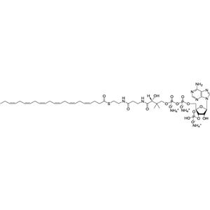 aladdin 阿拉丁 D130771 二十二碳六烯酰辅酶A(铵盐) 800377-20-2 >99%