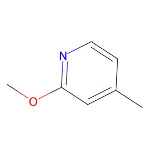 aladdin 阿拉丁 M122668 2-甲氧基-4-甲基吡啶 100848-70-2 98%