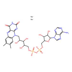 aladdin 阿拉丁 F100990 黄素腺嘌呤二核苷酸二钠盐水合物 84366-81-4 用于细胞培养,>95%
