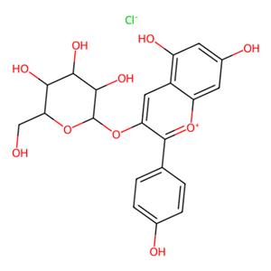 aladdin 阿拉丁 C464028 天竺葵素3-葡萄糖苷氯化物 18466-51-8 98%