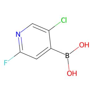 aladdin 阿拉丁 C189432 2-氟-5-氯吡啶-4-硼酸 (含不同量的酸酐) 1034659-38-5 >96%