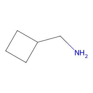 aladdin 阿拉丁 C176494 环丁基甲胺 4415-83-2 97%