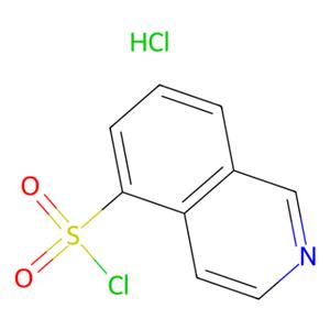 aladdin 阿拉丁 I179054 异喹啉-5-磺酰氯 盐酸盐 105627-79-0 95%