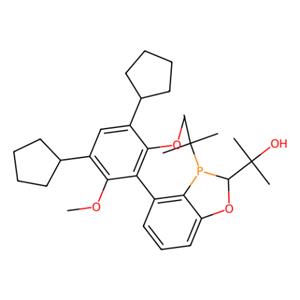 aladdin 阿拉丁 R282201 2-((2R,3R)-3-(叔丁基)-4-(3,5-双环戊基-2,6-二甲氧基苯基)-2,3-二氢苯并[d][1,3]氧膦杂环-2-基)丙烷-2-醇 2416226-97-4 97%,99% ee