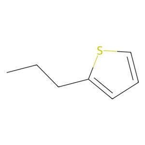 aladdin 阿拉丁 P167542 2-丙基噻吩 1551-27-5 97%
