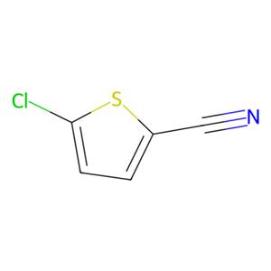 aladdin 阿拉丁 C170641 5-氯-2-噻吩甲腈 50478-16-5 97%