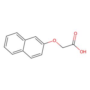 aladdin 阿拉丁 N114752 2-萘氧乙酸 120-23-0 分析标准品