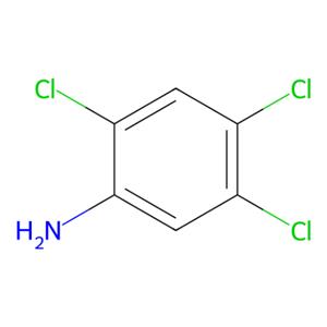 aladdin 阿拉丁 T107348 2,4,5-三氯苯胺 636-30-6 分析标准品,99%