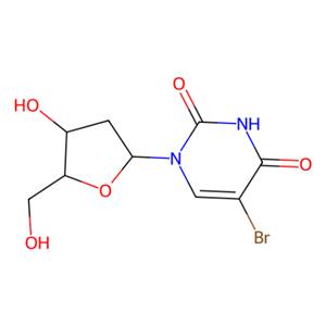aladdin 阿拉丁 B424934 5-溴-2'-脱氧尿苷(BUdR) 59-14-3 10mM in DMSO