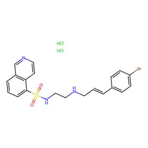 aladdin 阿拉丁 H408541 H 89 2HCl 130964-39-5 10mM in DMSO