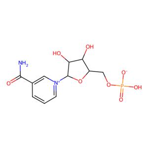 aladdin 阿拉丁 N131850 烟酰胺核苷酸 (NMN) 1094-61-7 ≥95%