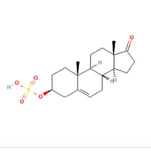 aladdin 阿拉丁 D609795 Dehydroepiandrosterone sulfate 651-48-9 98%