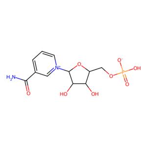 aladdin 阿拉丁 N413255 β-Nicotinamide Mononucleotide