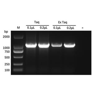 aladdin 阿拉丁 A156186 Recombinant Taq DNA Polymerase Protein 9012-90-2 >95%