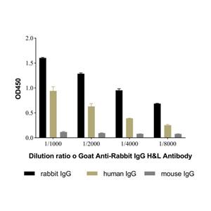 aladdin 阿拉丁 Ab138272 Goat Anti-Rabbit IgG H&L Antibody Secondary Antibody; Goat Anti-Rabbit IgG H&L Antibody; WB, ELISA, CLIA, LF, GICA; Unconjugated