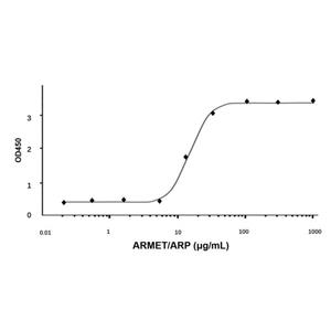 aladdin 阿拉丁 rp142973 Recombinant Human ARMET/ARP Protein Animal Free, >95%(SDS-PAGE and HPLC), Active, E.coli, No tag, 25-182aa