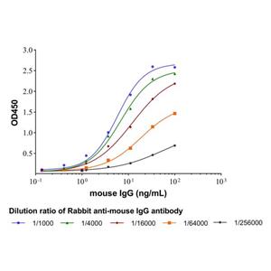 aladdin 阿拉丁 Ab170451 Rabbit anti-mouse IgG antibody ≥95％