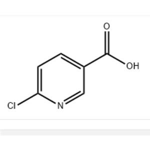 6-氯烟酸