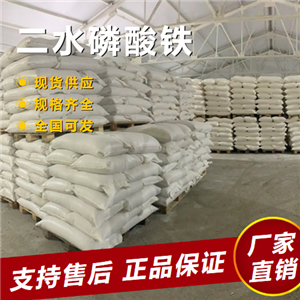  源头正品 二水磷酸铁 催化剂水处理农业肥料 13463-10-0 