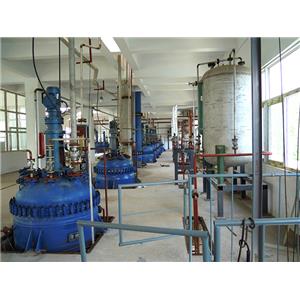 L-去甲肾上腺素酒石酸盐 一水合物