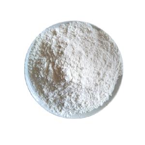 盐酸普罗帕酮 产品图片